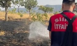 Siirt’te Bağ Yangını: 33 Fıstık Ağacı Zarar Gördü