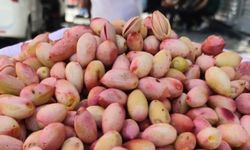 Siirt'te Yeşil Fıstık Tezgâhlardaki Yerini Aldı