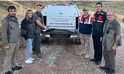 Siirt’te Kaçak Avcılığa Geçit Verilmiyor