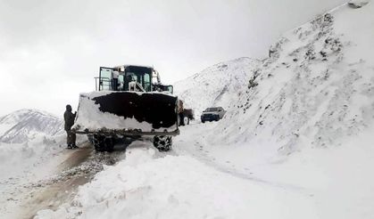Siirt'te kar ve tipi nedeniyle 10 köy yolu ulaşıma kapandı