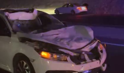 Siirt’te otomobil yola çıkan ineğe çarptı: 3 yaralı