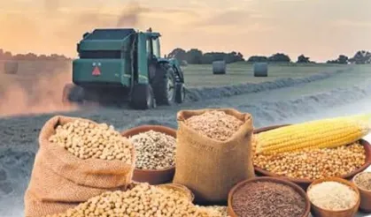 Tarımsal ürün fiyatları ve endekslerde yükseliş