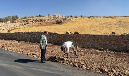 Başkan Hasan Nas’tan Yol Atağı: Kayabağlar Girişine Konforlu Dokunuş