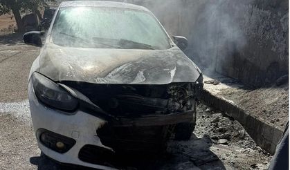 Siirt’te Sanayi Sitesinde Araç Yangını: Otomobil Kullanılamaz Hale Geldi