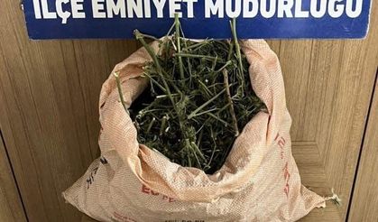 Siirt’te Polisin ‘Dur’ İhtarına Uymayarak Kaçan 3 Kişinin Üzerinden Uyuşturucu Çıktı