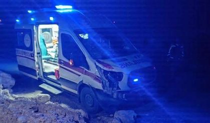 Siirt-Şirvan Yolunda Kaza: Ambulansın Çarptığı At Telef Oldu