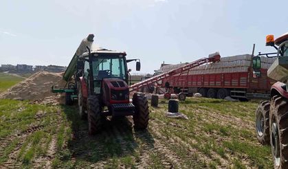 Saman Presi Sırasında Kaza: Silahla Oynayan İşçi Kendini Vurdu