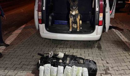 Siirt’te 9 Kilo 700 Gram Esrar Ele Geçirildi