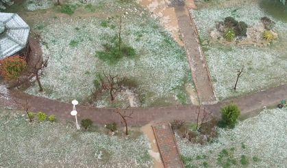 Siirt’te Dolu Yağışı Hayatı Olumsuz Etkiledi