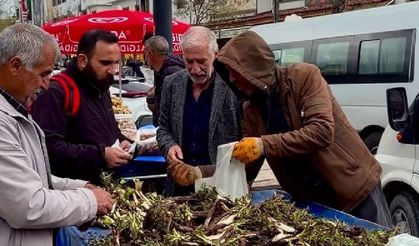 Siirt’te Kenger Bereketi: Vatandaşlardan Yoğun Talep