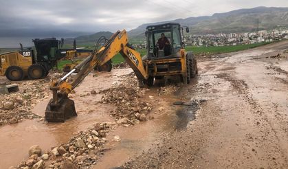 Siirt’te Sel Felaketi: Tarım Alanları Zarar Gördü, Yüzlerce Hayvan Telef Oldu