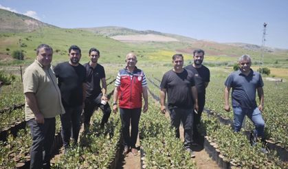 Siirt’te Fıstık Fidanı Üretimine Yakın Takip