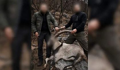 Siirt'te 6 Yıl Sonra Çözüldü: Kaçak Avcılar Tespit Edildi