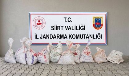 Siirt’te 300 Kilo Fıstık Çalan Hırsızlar Fabrikada Suçüstü Yakalandı