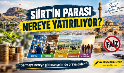 Siirt'in Parası Nereye Yatırılıyor?
