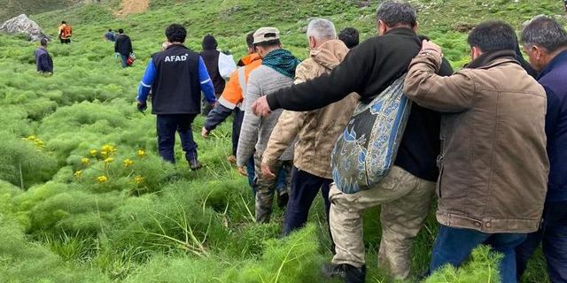 Siirt'te ot toplarken düşen kişi hayatını kaybetti