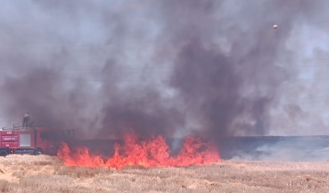 Siirt'te hasadı yapılan bir buğday tarlasında çıkan anız yangını korkuttu