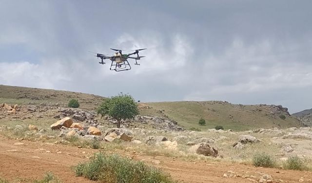 Siirt’te çekirge mücadelesi kapsamında ilk defa dron ile ilaçlama yapıldı
