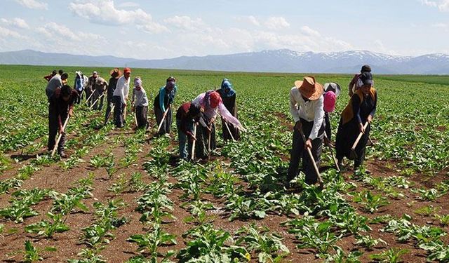 Mevsimlik tarım işçilerinin göçü başladı