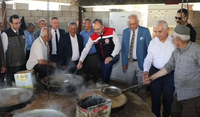 Siirt Valisi Kemal Kızılkaya, Şirvan'ın Ormanbağı köyünde incelemelerde bulundu