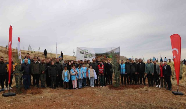 Siirt’te 2 bin 500 fidan toprakla buluştu