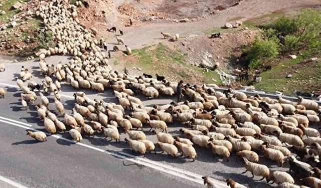 Siirt’te yeterlilik belgesi kursu düzenlenecek