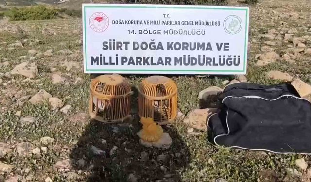 Siirt’te keklik avlayan kişiye 63 bin lira ceza kesildi