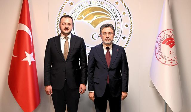 AK Partili Özturan, Başur Projesi ve Siirt'e DSİ Merkezi İçin Ankara'da Yoğun Mesai Harcıyor