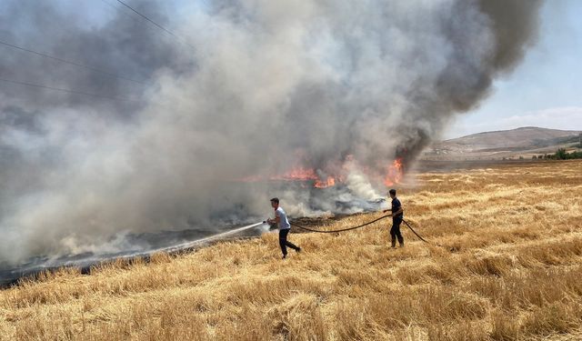 Siirt’te Arazide Çıkan Yangın Paniğe Yol Açtı