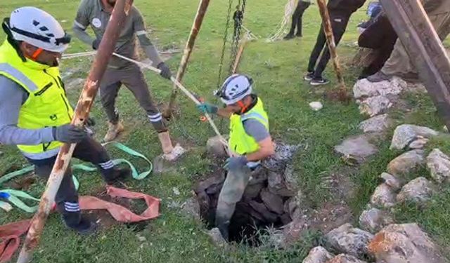 Siirt’te kuyuya düşen dana kurtarıldı