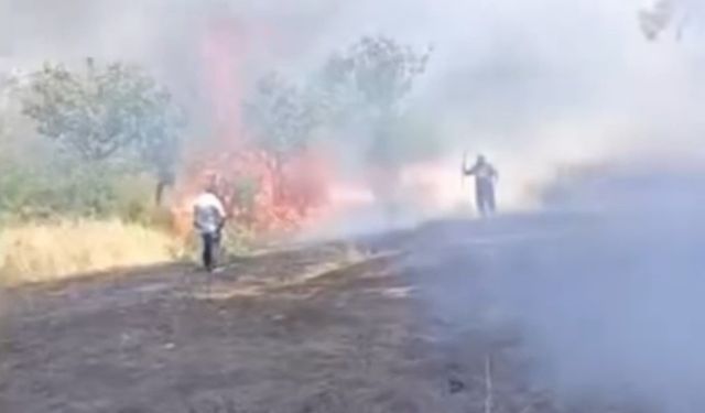 Siirt’te yangın! 100 Fıstık ağacı zarar gördü