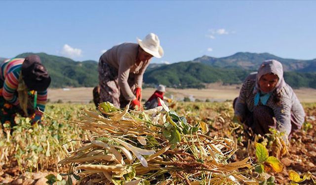 Siirt’te Çiftçilere 152 Milyon TL Hibe Desteği