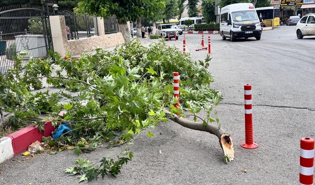 Siirt’te Kuvvetli Rüzgar Felaketi: 2 Kişi Yaralandı