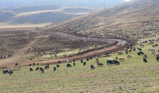 Pervari’deki Zirin Gölü Doğal Yaşamına Kavuşuyor