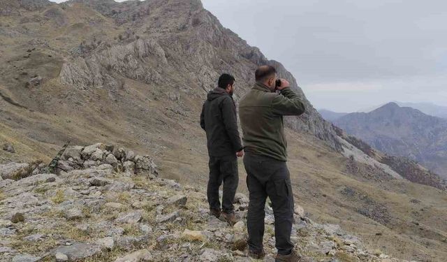 Siirt’te Kaçak Avlanmaya 15 Bin Lira Para Cezası