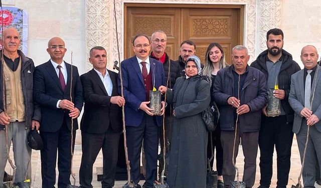 Siirtli Çiftçilere 25 Bin Fıstık ve 4 Bin 300 Adet Trabzon Hurması Fidanı Dağıtıldı