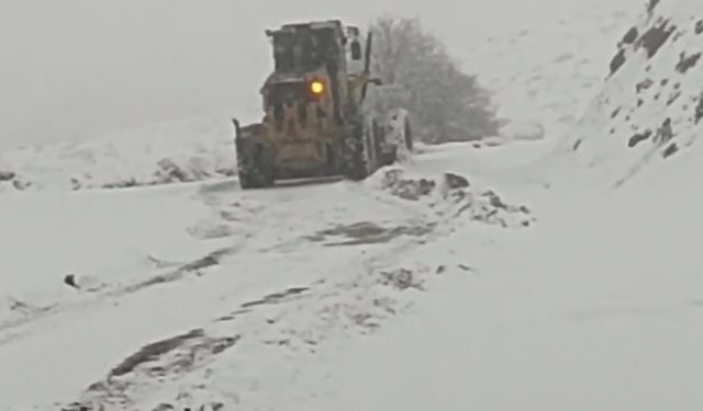 Siirt’te 45 Yolu Ulaşıma Kapandı, Yolda Kalan Bazı Araçlar Kurtarıldı
