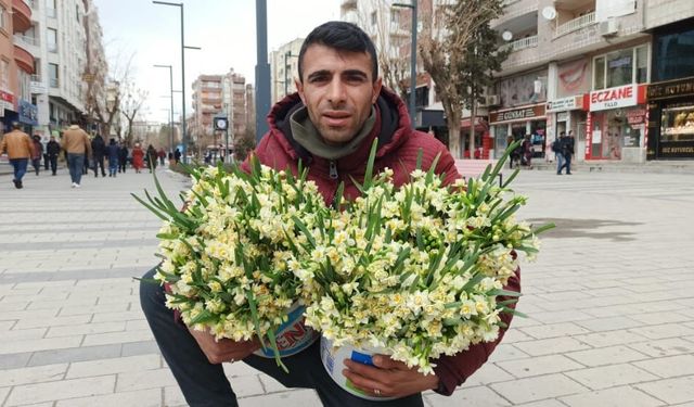 Siirt’te İlkbaharın Müjdecisi Nergiz Çiçeği Tezgâhlarda Yerini Aldı
