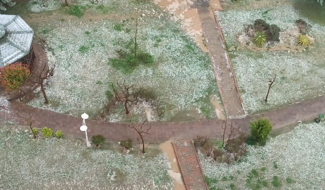 Siirt’te Dolu Yağışı Hayatı Olumsuz Etkiledi