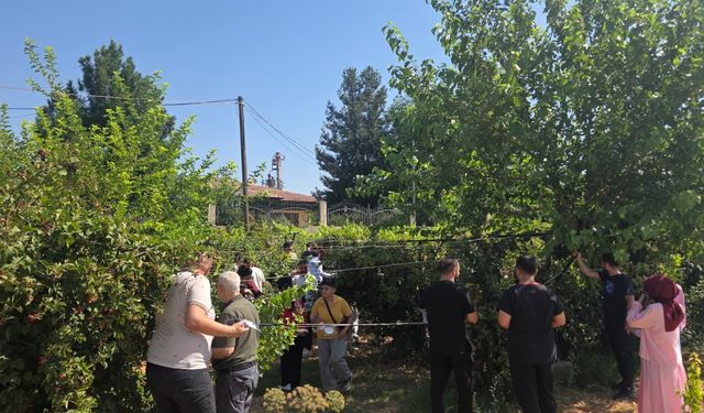 Engelsiz Yaşam Merkezi’nde Böğürtlen Hasadı