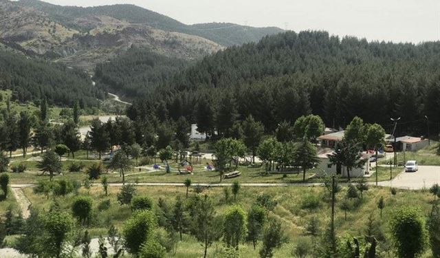 Siirt'te Ormanlık Alanlara Girişler Yasaklandı