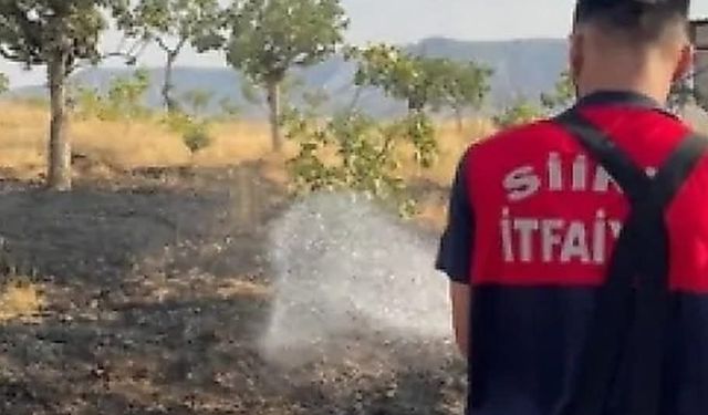 Siirt’te Bağ Yangını: 33 Fıstık Ağacı Zarar Gördü