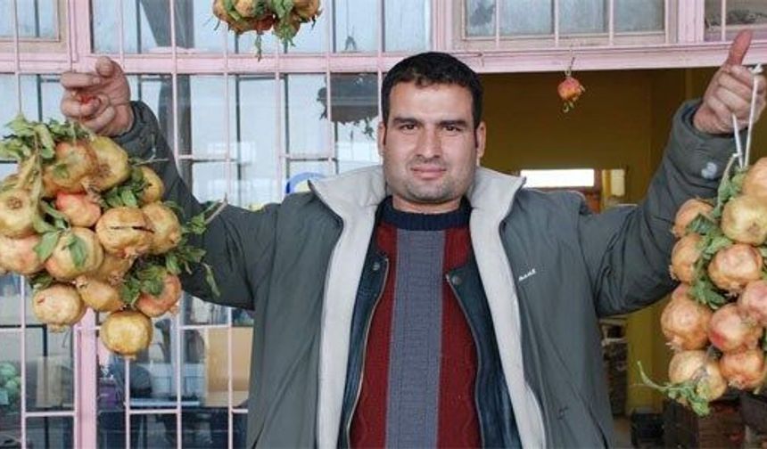 Siirt'te Zivzik narının hasadı tamamlandı, satışı başladı