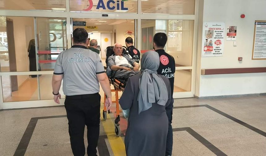 Siirt Eruh'ta yılan sokması sonucu bir kişi hastaneye kaldırıldı
