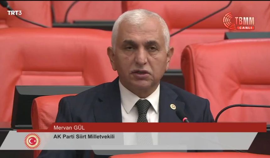 AK Parti Siirt Milletvekili Gül, Siirt Fıstığını TBMM Genel Kurulunda Gündeme Getirdi