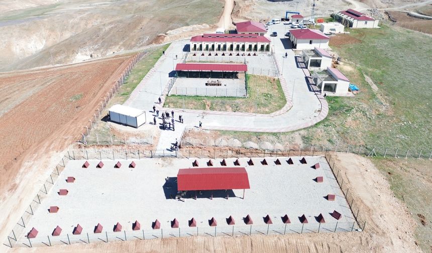 Siirt Belediyesi sokak hayvanları bakım ve rehabilitasyon merkezi kapasitesini iki katına çıkarıyor