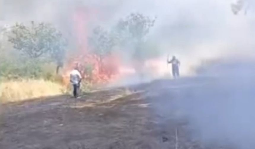 Siirt’te yangın! 100 Fıstık ağacı zarar gördü