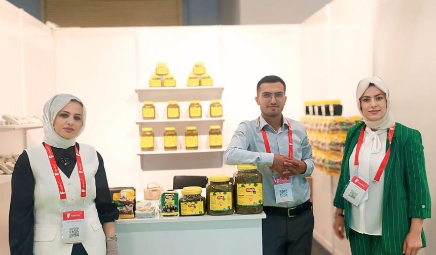 Şirvan’dan Avrupa’ya Asma Yaprağı ve Zeytinyağlı Sarma