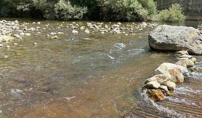 Siirt’te Hizan ve Hesko su hatlarında onarım ve temizlik çalışması