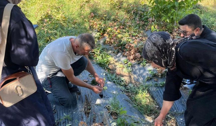 Siirt’te Kadın Üreticilere Eğitim Verildi